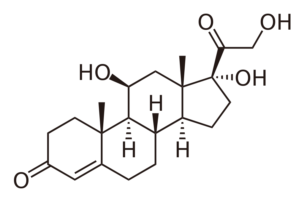 ¿Qué es el cortisol y por qué es bueno medirlo?